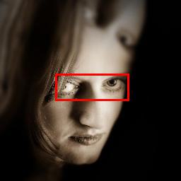 ../_images/detection-eyes-2.jpg